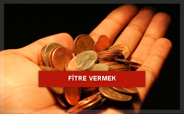 Fitre vermek